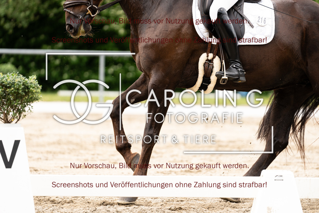 DSC01728 | Turnierfotografin Carolin Gieschke, Turnierfotografie Carolin G Fotografie, Turnierfotos Kirchheim/Teck, Esslingen, Stuttgart, Bodenseekreis