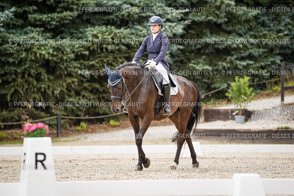 DSC07664 | Pferdegrafie