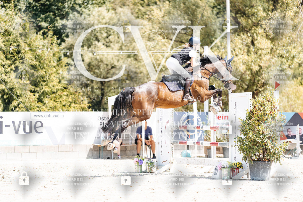 CK900393 | Turnierfotografie Pferdefotografie Trier Rheinland-Pfalz Pferdesport Reitsport Tierfotografie Sportfotografie Pferdevideo Pferdevideografie Equestrianvideography equestrianphotography  - Realisiert mit Pictrs.com
