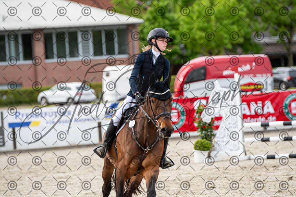 KPT_7151 | andre_photographic