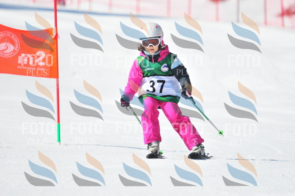 C2696 | holidayphoto