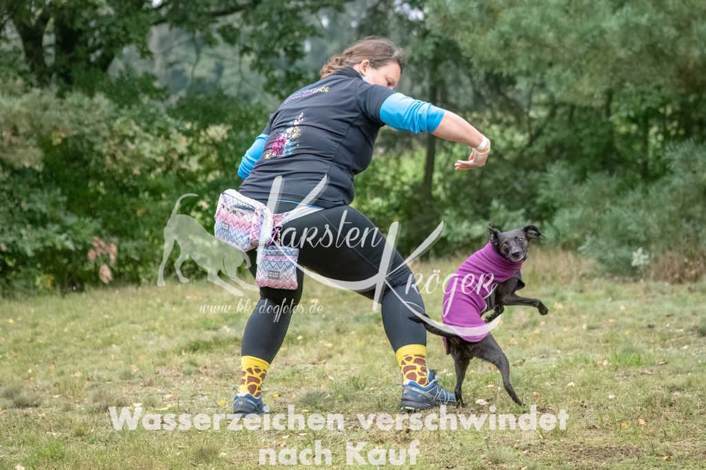 1147_ZZ94969-Bearbeitet | kk-dogfotos