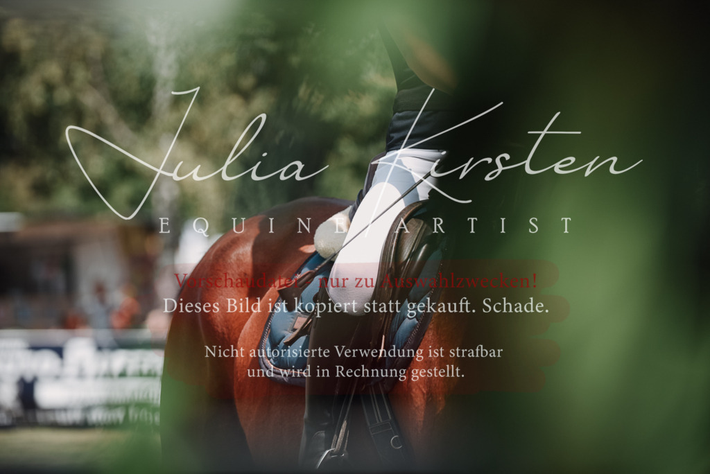 DSC_5706 | Pferde- und Turnierfotografie in Westsachsen. Pferdeportraits, Auftragszeichnungen und intuitive Kunst.