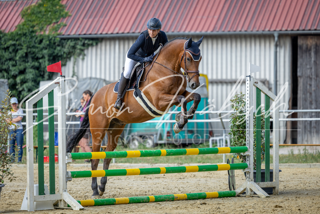 20260704-_3LI6598 | Tierfotografie Pferde, Hunde, Katzen, Haustiere.
Turnierfotografie Reitturniere, Reiten, Springreiten, Dressur in Hanau, dem Main-Kinzig-Kreis und dem Rhein-Main- Gebiet um Frankfurt