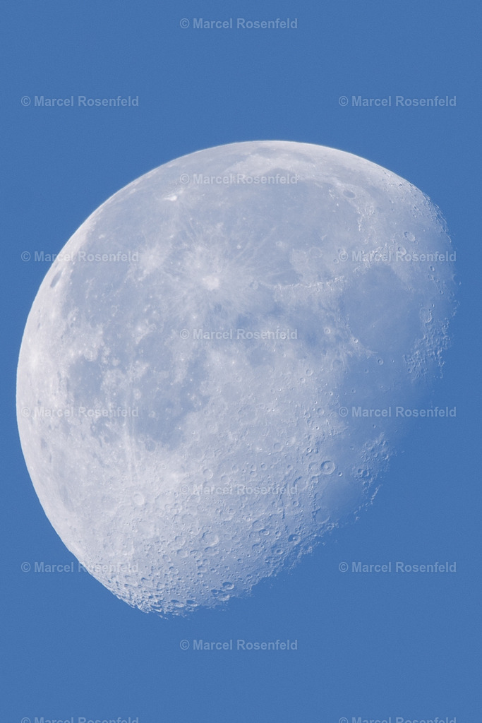 _DSC5261 | foto-rosenfeld