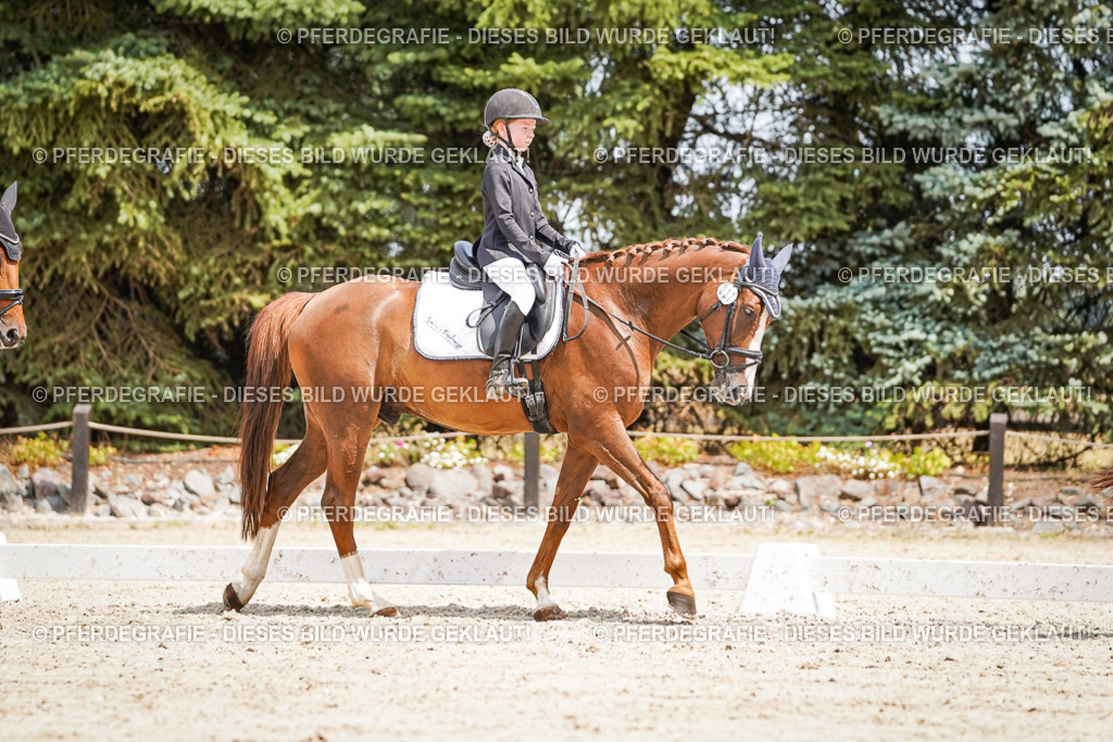 DSC03374 | Pferdegrafie