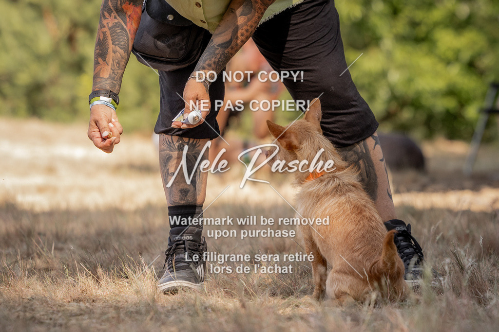 nelerasche_soDD2_36 | nelerasche