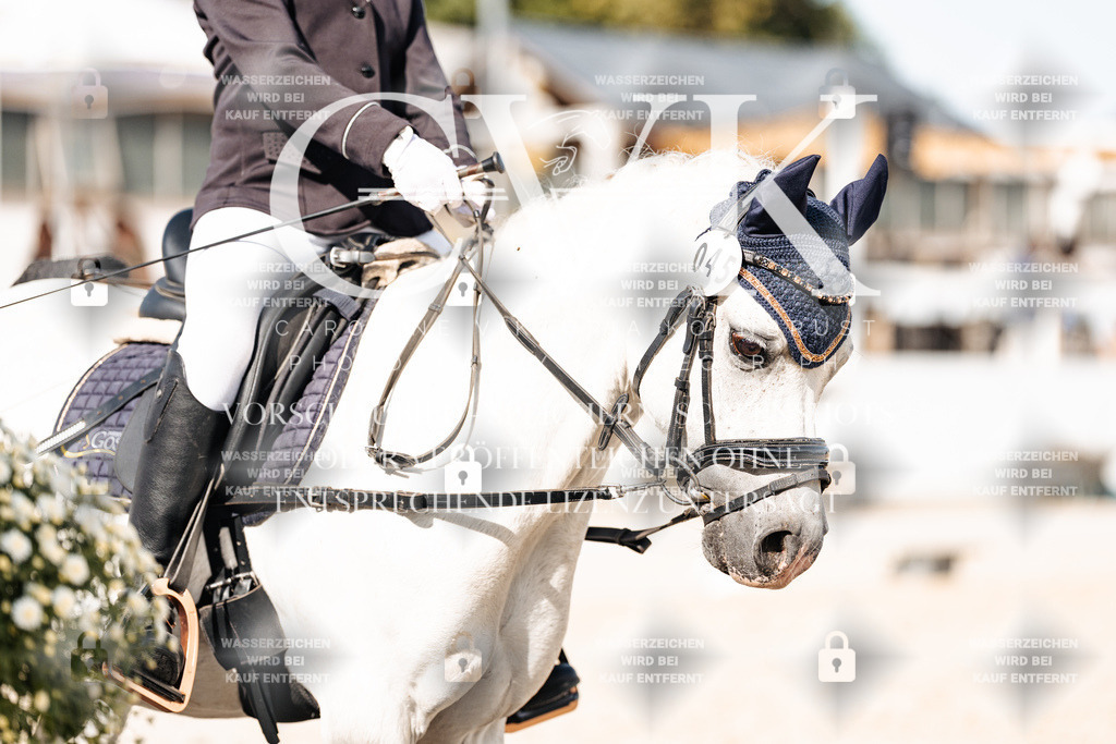 CK905674 | Turnierfotografie Pferdefotografie Trier Rheinland-Pfalz Pferdesport Reitsport Tierfotografie Sportfotografie Pferdevideo Pferdevideografie Equestrianvideography equestrianphotography  - Realisiert mit Pictrs.com