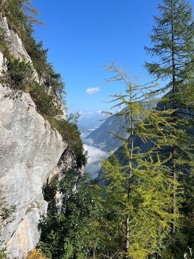 IMG_8445 | ace - Realisiert mit Pictrs.com