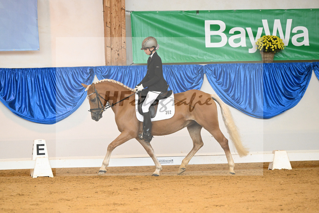 Kat-Nr. 302 Paloma_Mayer_54221870 | hf-fotografie - Realisiert mit Pictrs.com