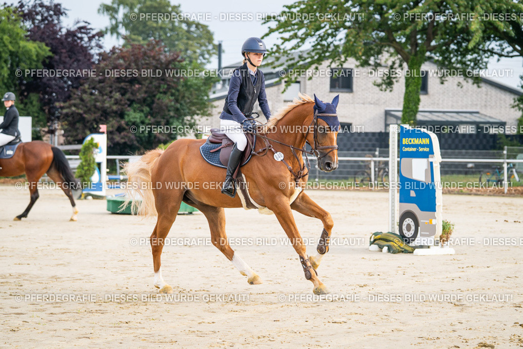 DSC07944 | Pferdegrafie