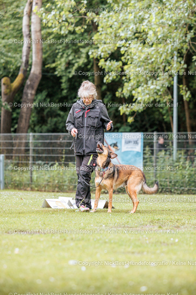 RO-Blumenthal-2026-Nickbest-Hundefotografie-1349 | Dein Hund! Dein Moment! Deine Erinnerungen! Hundefotografie in Bremen Blumenthal. Ich fange die besonderen Momente deines Vierbeiners ein – ob Indoor mit Blitzanlage oder in der freien Natur. Sicher dir dein Moment und dein Termin für eure Erinnerungen.