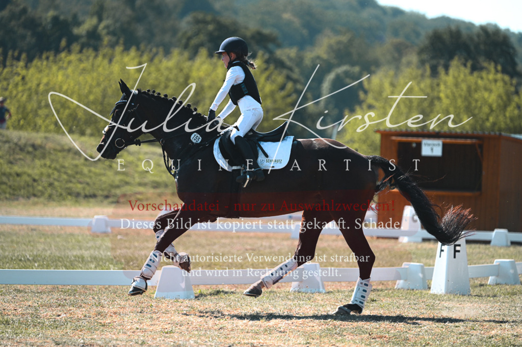 DSC_8007-2 | Pferde- und Turnierfotografie in Westsachsen. Pferdeportraits, Auftragszeichnungen und intuitive Kunst.