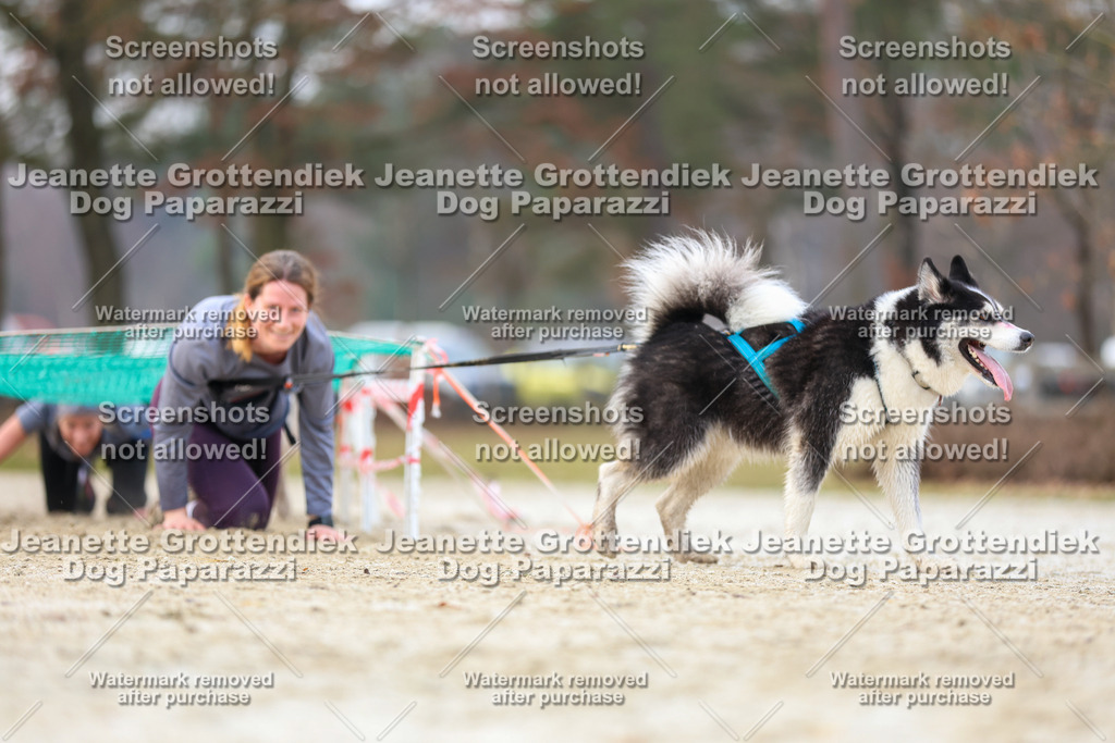 Dog Paparazzi - Strongdog North Mrz26-4061 | Dog Paparazzi Jeanette Grottendiek Fotografie & Videografie - Realisiert mit Pictrs.com