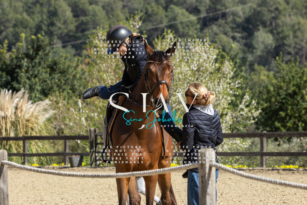 IMG_6618 | s-jay-photography - Realisiert mit Pictrs.com