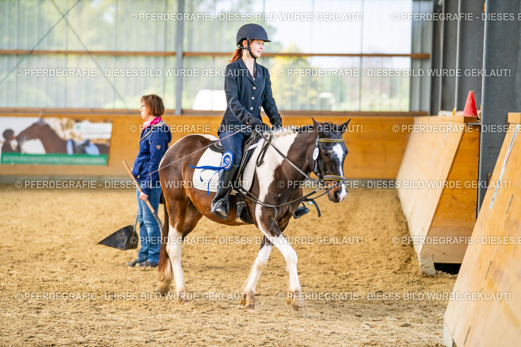 DSC03897 | Pferdegrafie