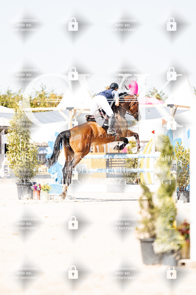 CK909476 | Turnierfotografie Pferdefotografie Trier Rheinland-Pfalz Pferdesport Reitsport Tierfotografie Sportfotografie Pferdevideo Pferdevideografie Equestrianvideography equestrianphotography  - Realisiert mit Pictrs.com
