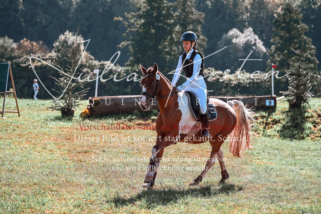DSC_1021 | Pferde- und Turnierfotografie in Westsachsen. Pferdeportraits, Auftragszeichnungen und intuitive Kunst.