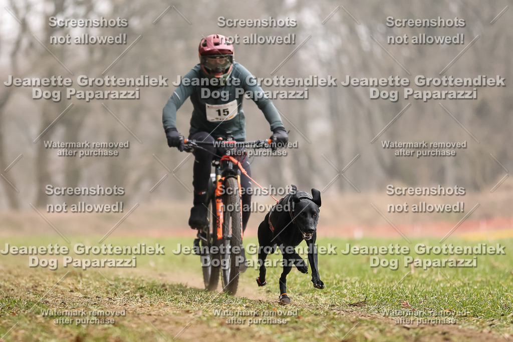 Dog Paparazzi - Plate 2026-53 | Dog Paparazzi Jeanette Grottendiek Fotografie & Videografie - Realisiert mit Pictrs.com