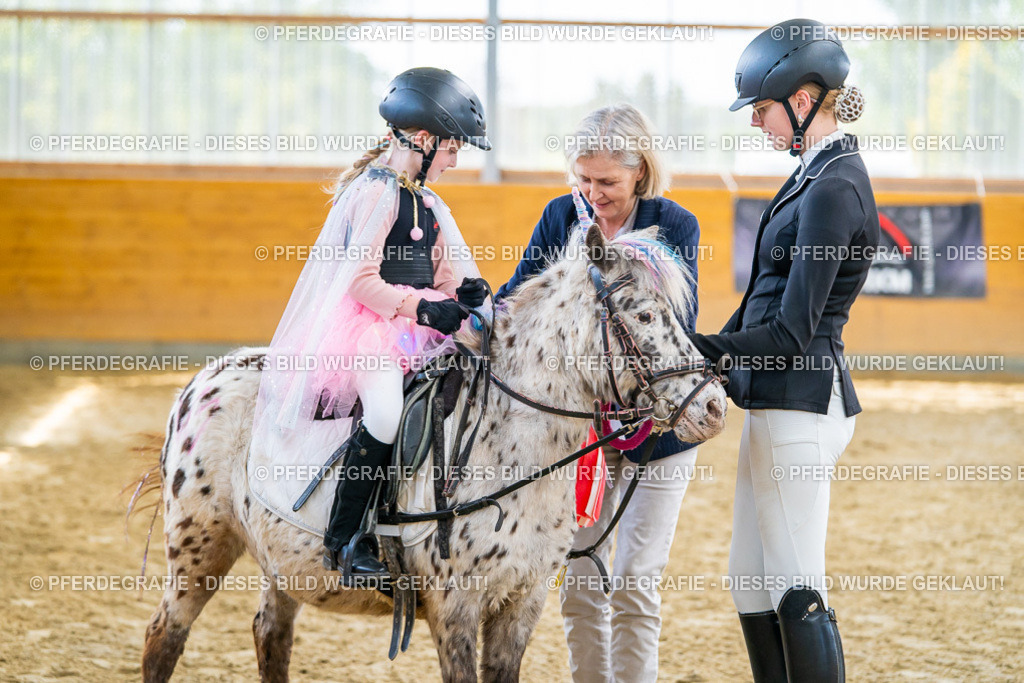 DSC00788 | Pferdegrafie