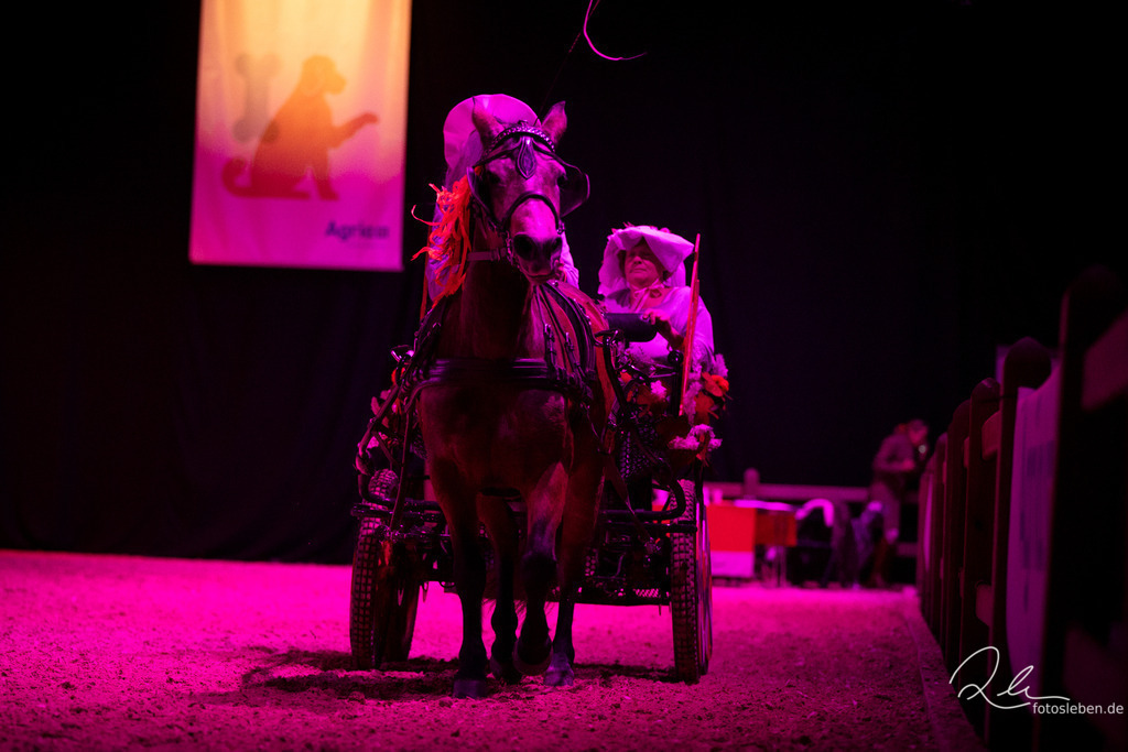 846A9229 | fotosleben - Realisiert mit Pictrs.com