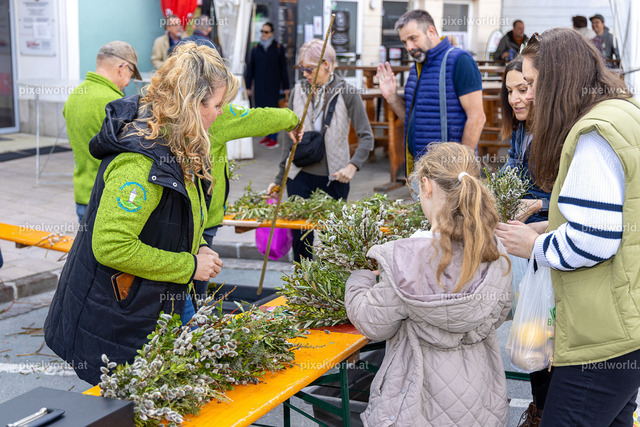 Palmbuschenbinden am Wochenmarkt mit der DG St. Martin | Bildershop von pixelworld.at - Realisiert mit Pictrs.com