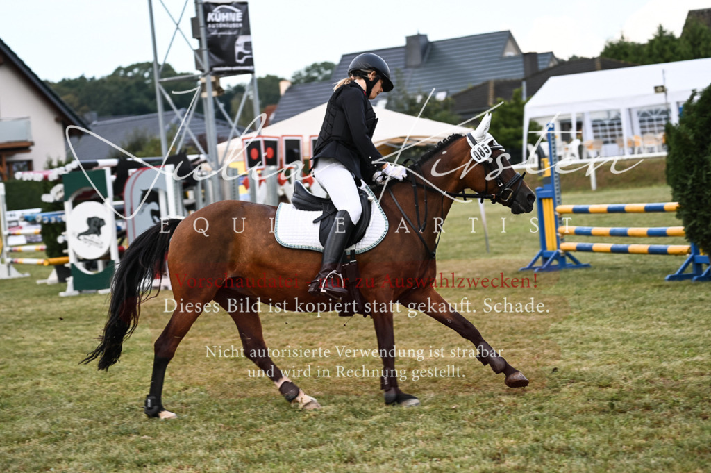 DSC_5705 | Pferde- und Turnierfotografie in Westsachsen. Pferdeportraits, Auftragszeichnungen und intuitive Kunst.