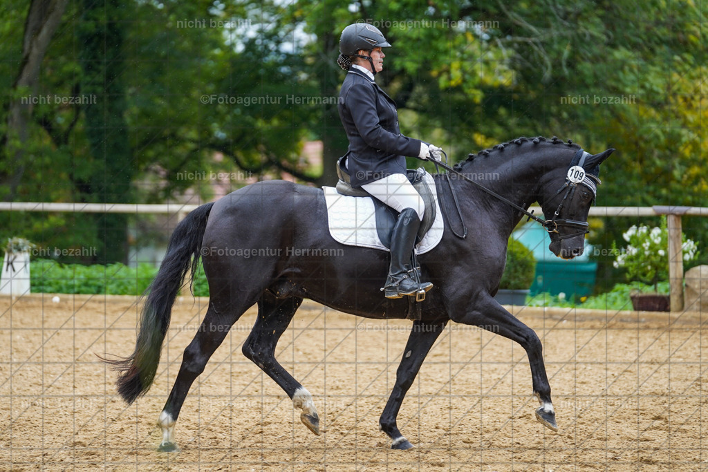 20221008-FAH01887 | Diessen am Ammersee, 2022, Dressur- und Springturnier, Reitsportbilder, Turnierfotografen Bayern, Pferdefotografen, Fotoagentur Herrmann, Turnierbilder
