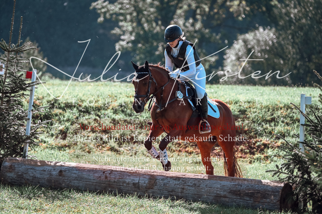 DSC_0615 | Pferde- und Turnierfotografie in Westsachsen. Pferdeportraits, Auftragszeichnungen und intuitive Kunst.