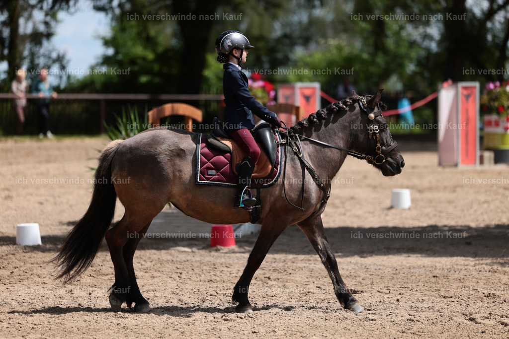 KlasseA_Stoibphotography_C2_L5651.JPG | working equitationturnier fotograf videograf stoibphotography marixx film working equitation deutschland reitsport turnierfotografie eventfotografie equestrian events