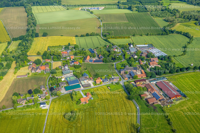 Hamm220602149 | Luftbild, Wiesen und Felder Ortsteil Süddinker, Rhynern, Hamm, Ruhrgebiet, Nordrhein-Westfalen, Deutschland