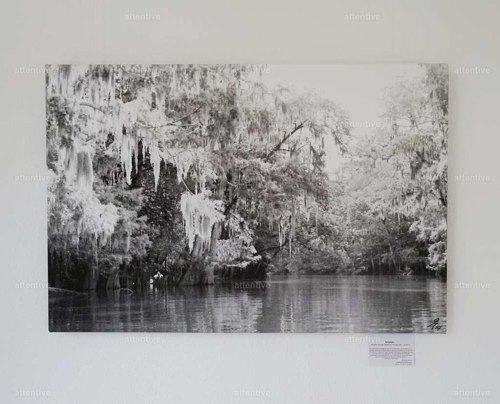 Springlight - 90 x 60 x 4 cm | Bestellbare Fotokunst von Melanie Stiebich: Analoge Schwarzweißbilder & digitale Farbwelten – als hochwertige Drucke für dein Zuhause. - Realisiert mit Pictrs.com