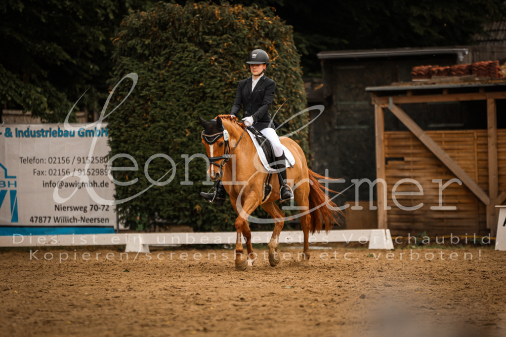 DoDrE00447 | Leoni Ertmer Photography - Realisiert mit Pictrs.com