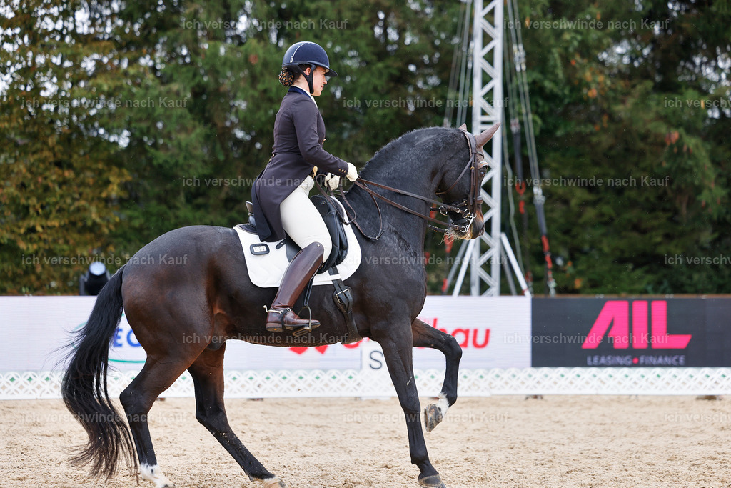 07-191-DRESSUR  S___  -StoibPH-4990 | working equitationturnier fotograf videograf stoibphotography marixx film working equitation deutschland reitsport turnierfotografie eventfotografie equestrian events