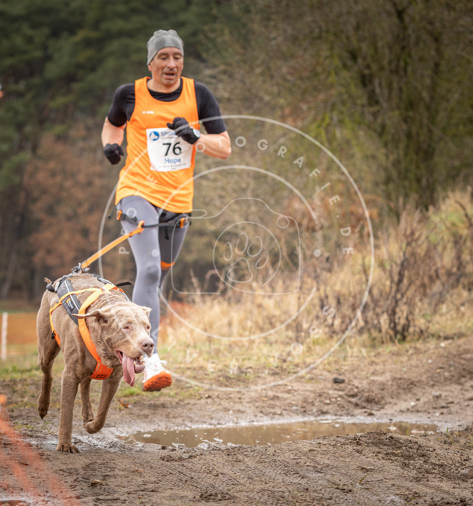 DV3A0304 | Hundefotografie, Tierfotograf, Pfotenfotografie, Fotoshooting Hund, Hunde Portrait, Hundesport, Hundeportraits, Heideshooting, Hunde, Sportfotograf, Hundefotograf, Turnierhundsport, THS,  - Realisiert mit Pictrs.com