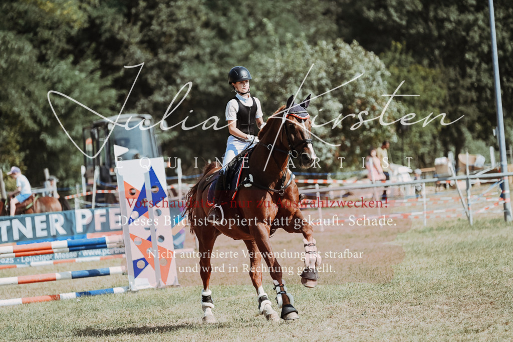 DSC_9458 | Pferde- und Turnierfotografie in Westsachsen. Pferdeportraits, Auftragszeichnungen und intuitive Kunst.