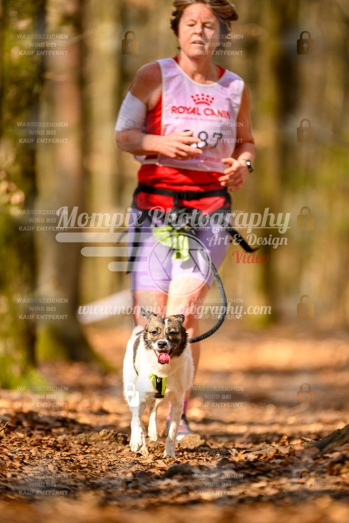 MompixPhotography_Habay2025_SA_CCC-176 | PayLife
