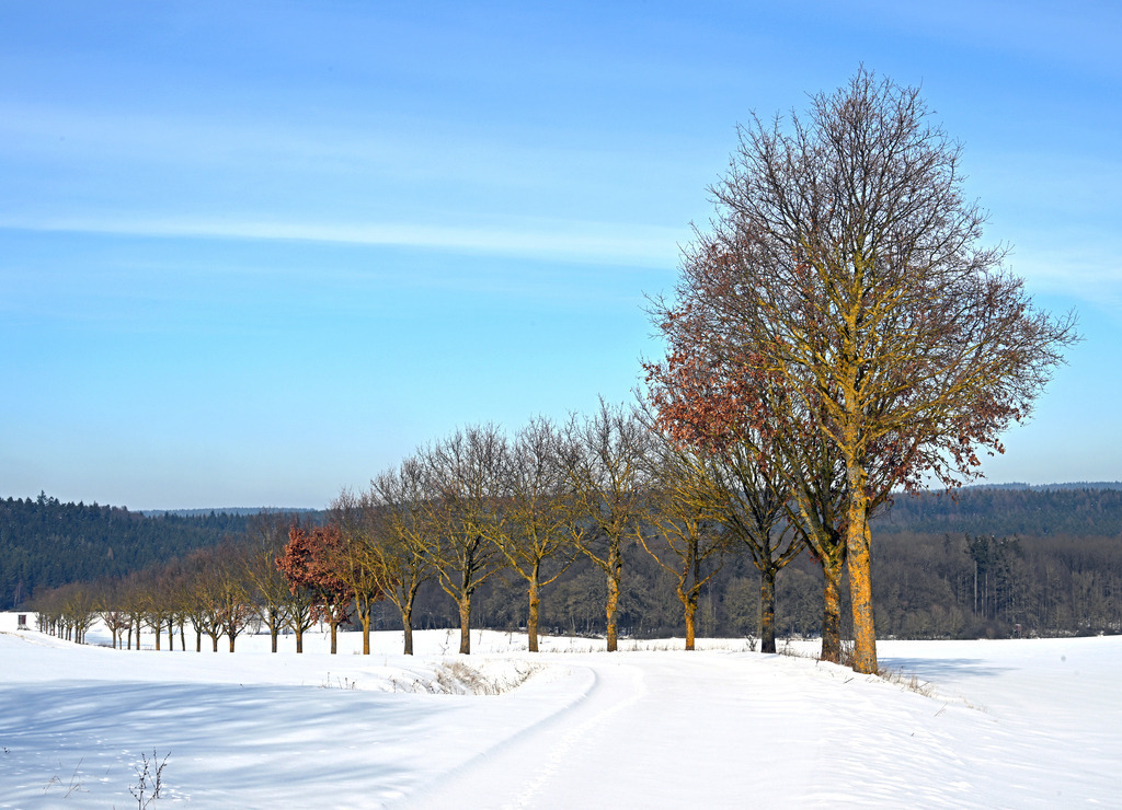 Stepfershausen02 | lucisnaturbilder - Realisiert mit Pictrs.com