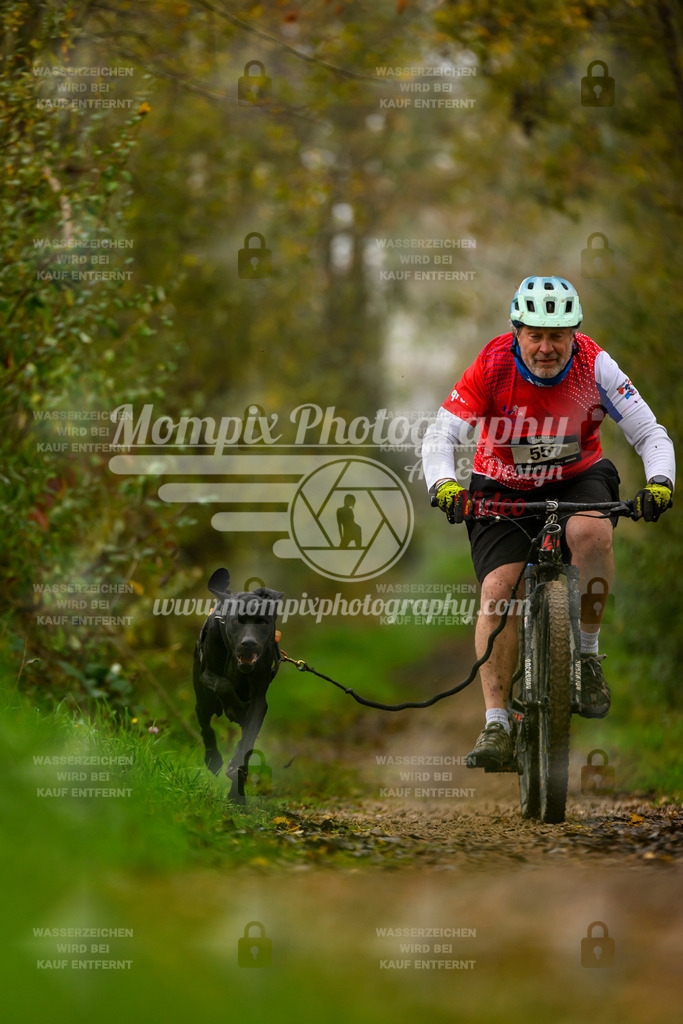 MompixPhotography_20TSB_E6_Bike-135 | PayLife