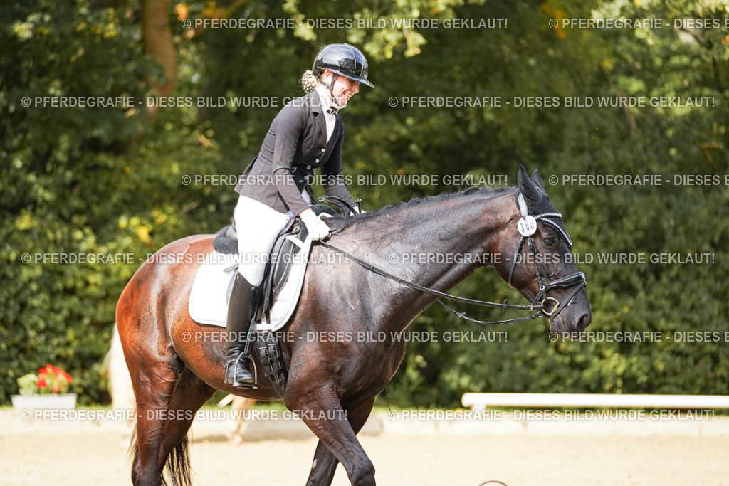 DSC03312 | Pferdegrafie