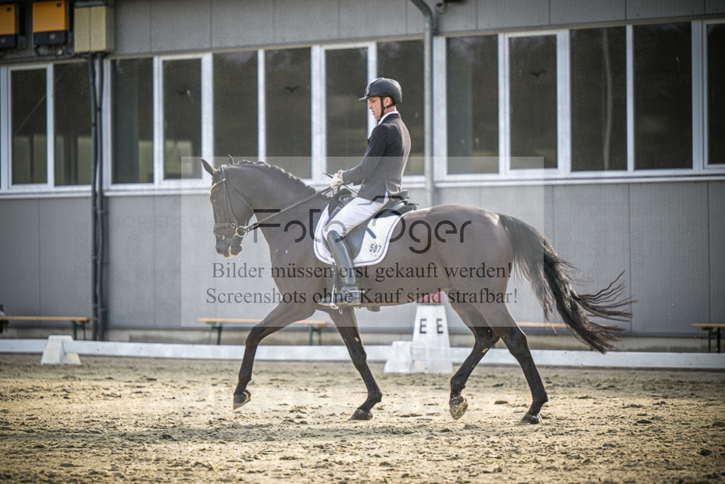 DOS_0382 | Entdecke hochwertige Reitturnierfotos von Foto Oger. Professionell, emotional und authentisch – jetzt Lieblingsmomente im Shop bestellen.Deutschlandweite Turnierfotografie. - Realisiert mit Pictrs.com