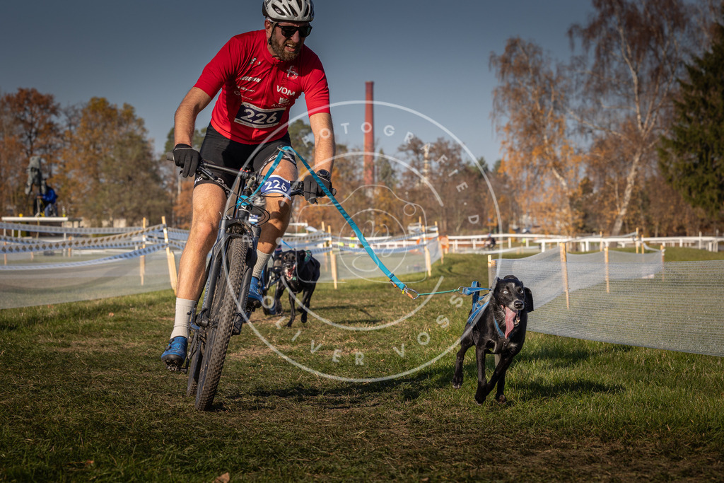 CaniXpix_0L8A7956 | Hundefotografie, Tierfotograf, Pfotenfotografie, Fotoshooting Hund, Hunde Portrait, Hundesport, Hundeportraits, Heideshooting, Hunde, Sportfotograf, Hundefotograf, Turnierhundsport, THS,  - Realisiert mit Pictrs.com