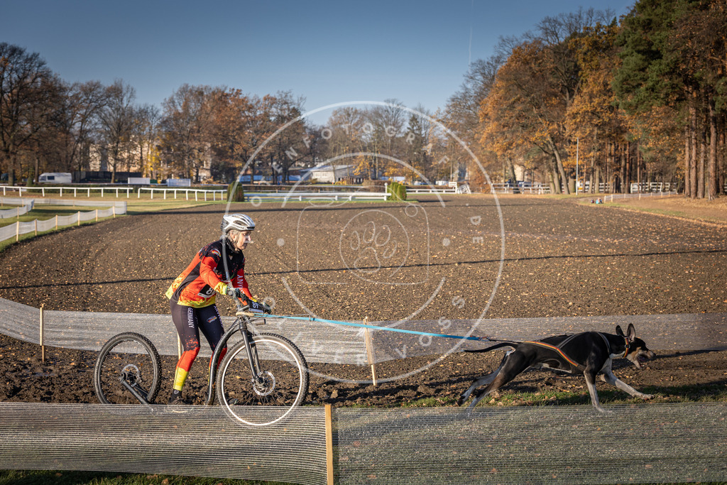 CaniXpix_DV3A1834 | Hundefotografie, Tierfotograf, Pfotenfotografie, Fotoshooting Hund, Hunde Portrait, Hundesport, Hundeportraits, Heideshooting, Hunde, Sportfotograf, Hundefotograf, Turnierhundsport, THS,  - Realisiert mit Pictrs.com