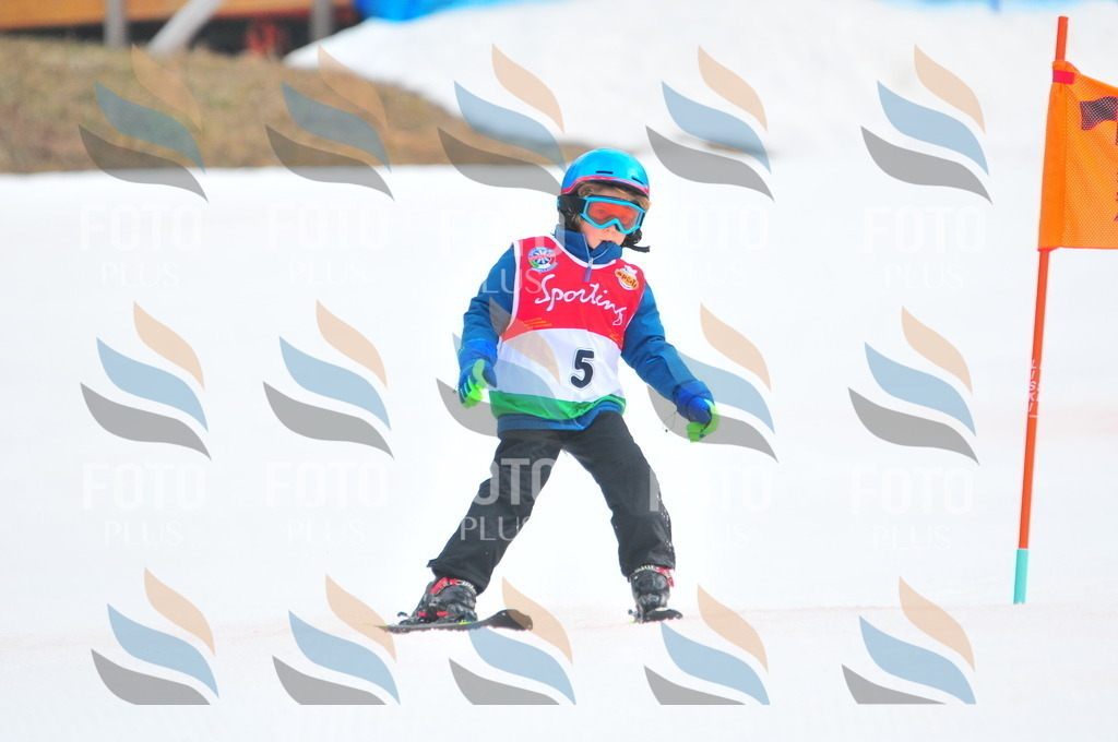 C0628 | holidayphoto