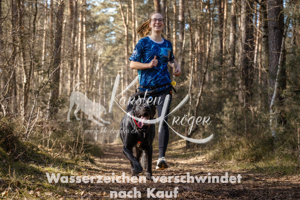 1338_ZZ94801 | kk-dogfotos