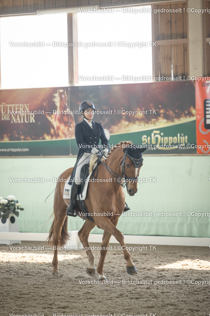 _D5A1428 | Emotionale Pferde- & People-Fotografie rund um Heidelberg, Leimen & Umgebung. Natürliche Fotos von Pferd, Mensch & Familie. Jetzt Termin sichern!