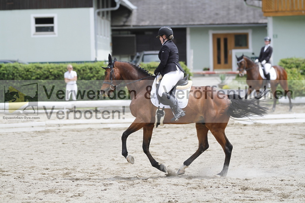 _MG_8891 | equestrian-live-com