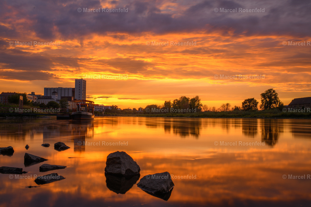 _DSC1304 | foto-rosenfeld