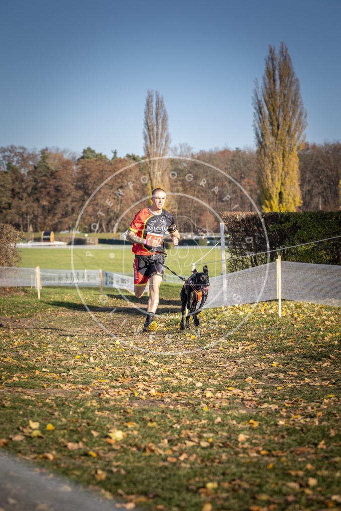 CaniXpix_DV3A0648 | Hundefotografie, Tierfotograf, Pfotenfotografie, Fotoshooting Hund, Hunde Portrait, Hundesport, Hundeportraits, Heideshooting, Hunde, Sportfotograf, Hundefotograf, Turnierhundsport, THS,  - Realisiert mit Pictrs.com
