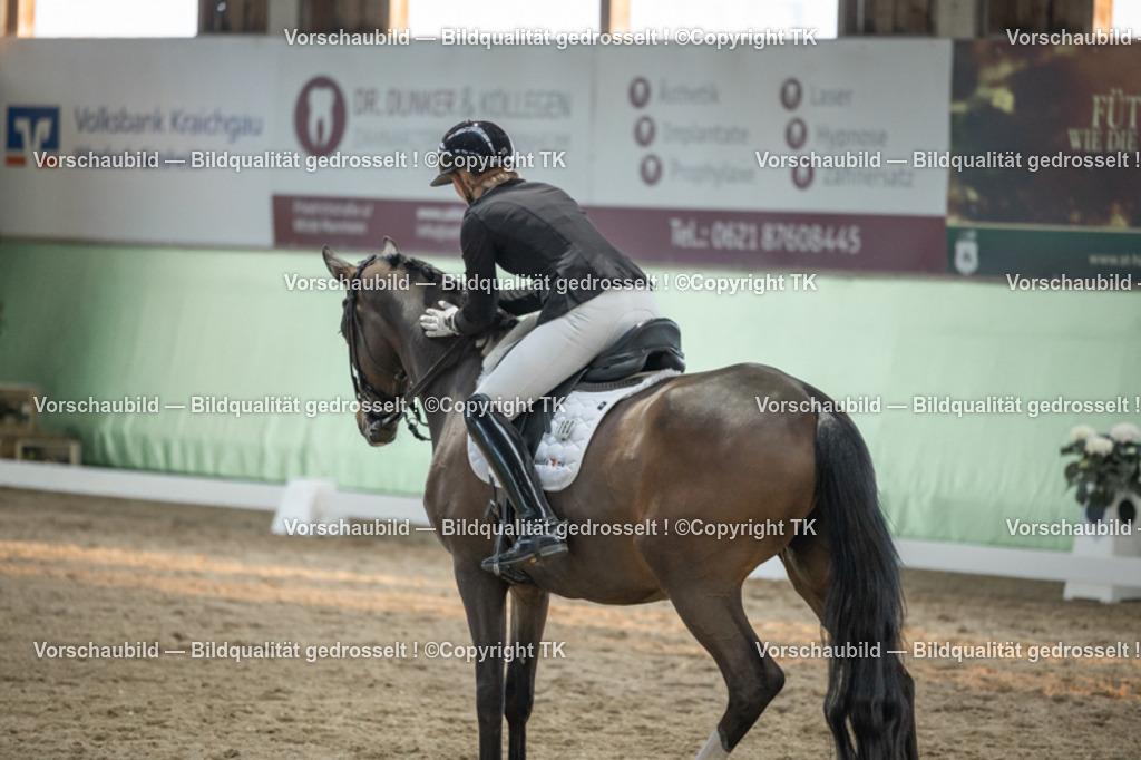 _D5A3449 | Emotionale Pferde- & People-Fotografie rund um Heidelberg, Leimen & Umgebung. Natürliche Fotos von Pferd, Mensch & Familie. Jetzt Termin sichern!